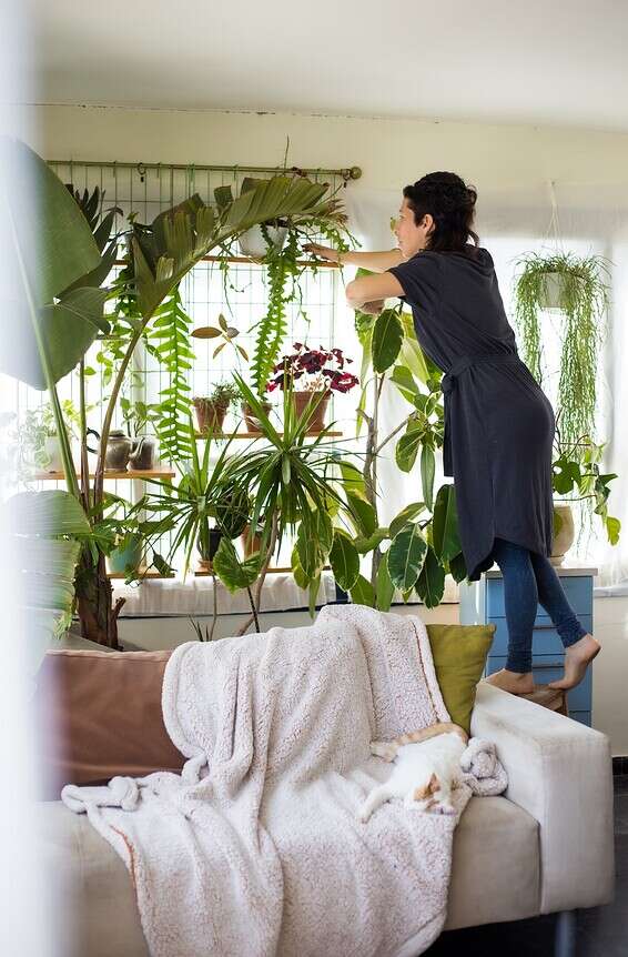 סוקולינה //צילום: הדר דולן