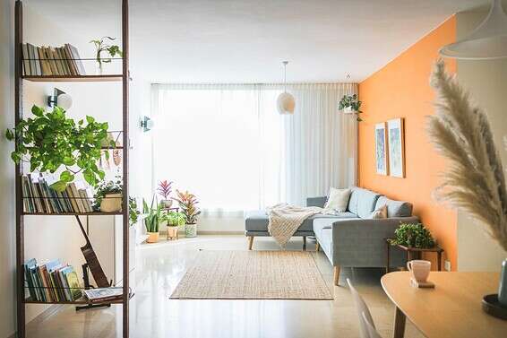 חיית וינטאג' //צילום: טלי דברת