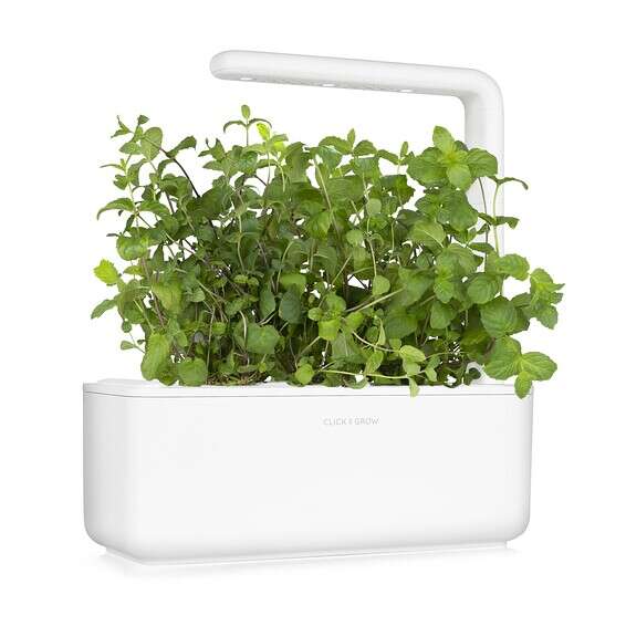 אדנית חכמה click&grow, רשת ביתילי //צילום: יח"צ