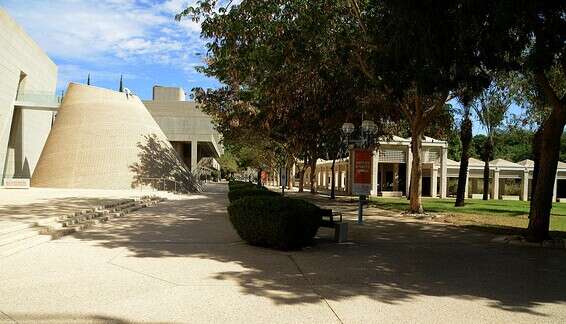 אוניברסיטת בן גוריון שבבאר שבע, בשנה שעברה // צילום: דודו גרינשפן