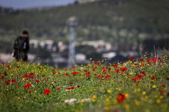 מזג אוויר נוח בסופ"ש // צילום: אורן בן חקון
