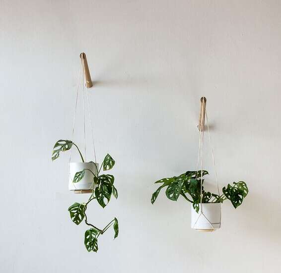 מתלים לצמחים שמתחברים לקיר, Loop Living //צילום: יח"צ