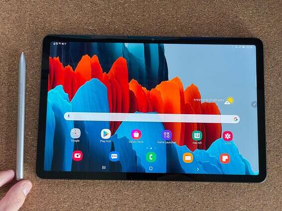 צילום: ינון בן שושן