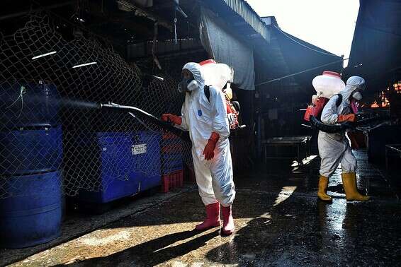 חיטוי רחובות בנגקוק // צילום: AFP