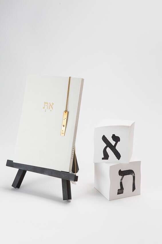 צילום: אבי ולדמן