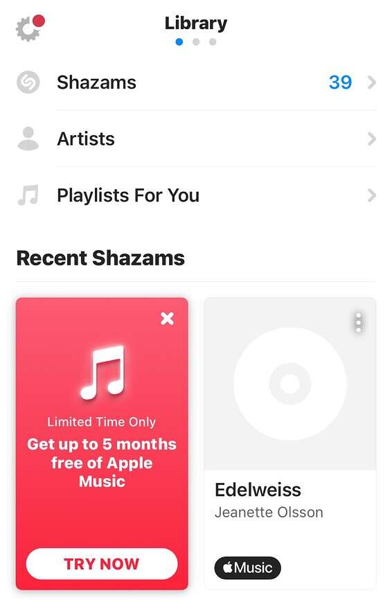 הצעה לחמישה חודשים בחינם // צילום מסך