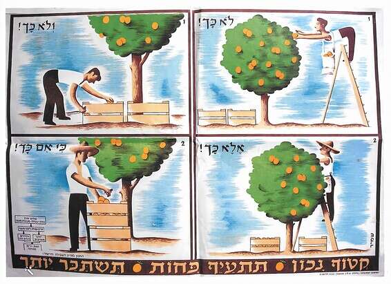 עיצוב כרזה: האחים שמיר