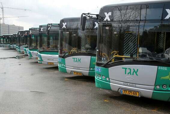 אילוסטרציה // צילום: אורן בן חקון