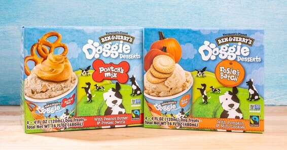 שני טעמי הגלידה לכלבים של בן אנד ג'ריז // צילום: יחצ חול