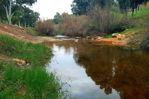 נחל גרר- פארק שרשרת // צילום: אלישע מזרחי קק"ל