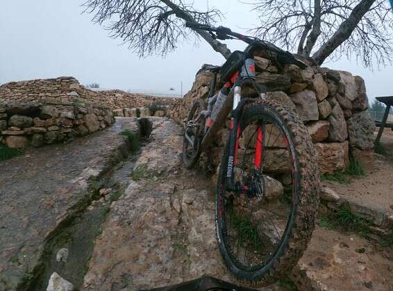 עין אבו כלאב // צילום: חנן גרינווד