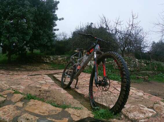 עין סג'מה // צילום: חנן גרינווד