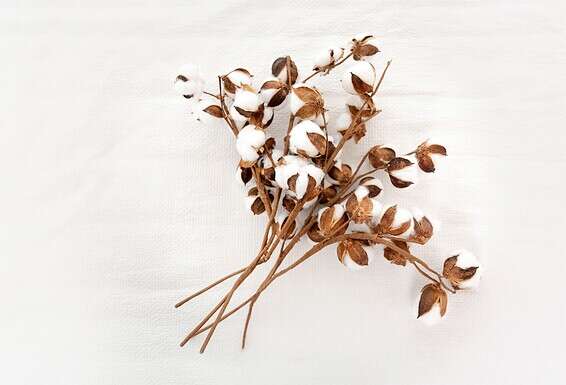 צילום: GettyImage