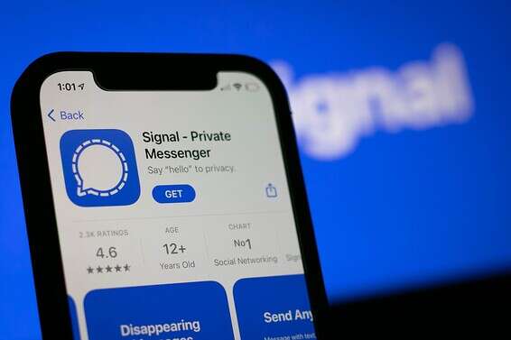 סיגנל // צילום: ינון בן שושן