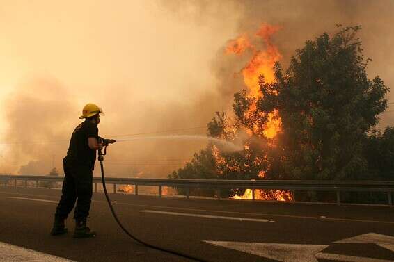 כבאי פועל בשריפה ביערות הכרמל, ב-2010 // צילום: קוקו