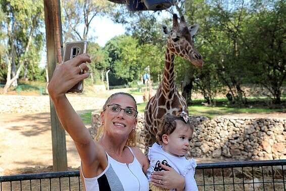 "התרגשנו מהתמיכה בנו". הספארי ברמת גן, היום // צילום: גדעון מרקוביץ'