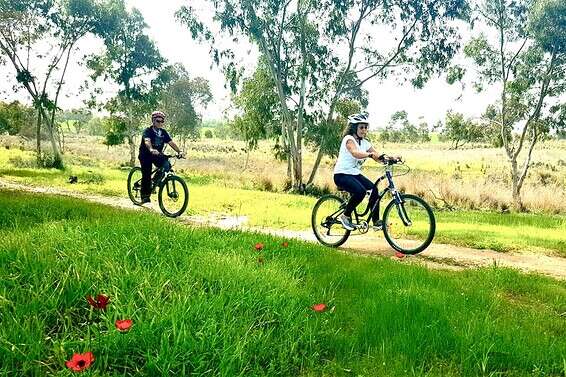 טיול אופניים בין הכלניות // צילום: אלישע מזרחי קק"ל