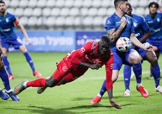 קולו בדרך לדשא // צילום: דני מרון