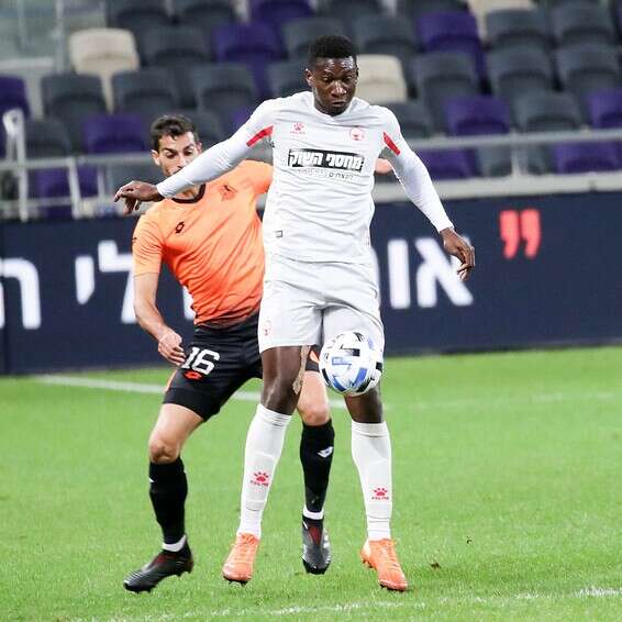 צילום: דני מרון