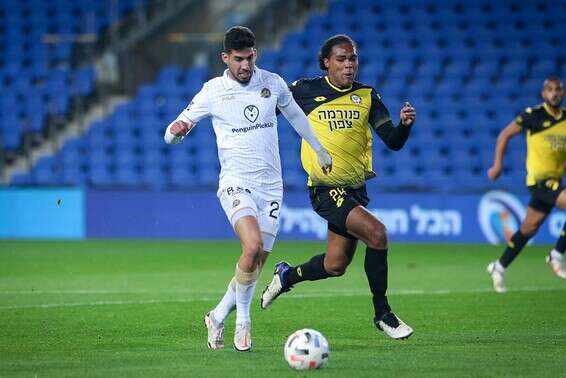 יהונתן כהן ו-ואן דר קאפ במאבק, הערב בנתניה // צילום: עמי שומן