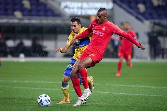 צילום: עמי שומן