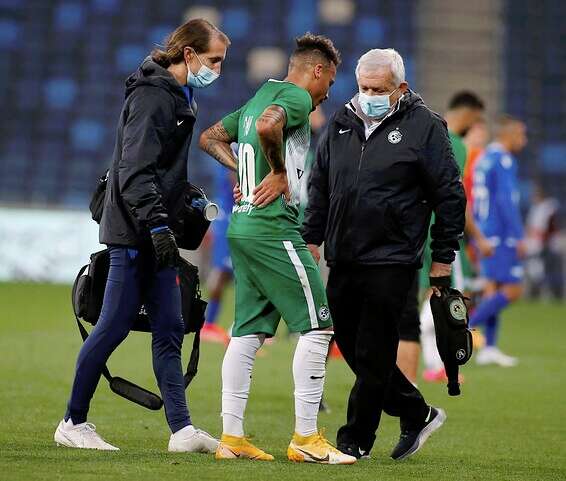 צילום: אלן שיבר