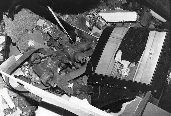 מרלין מונרו בלב החורבות // צילום: פז בר