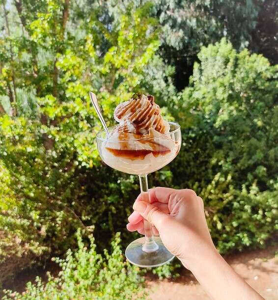 קינוח חלוה מפנק // צילום: ברית בינרט