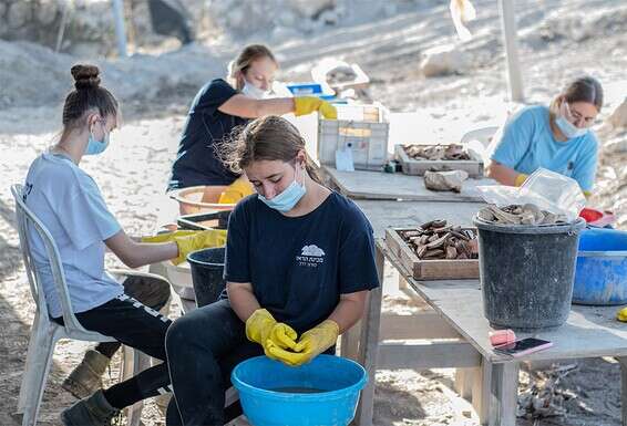 בני נוער במהלך החפירות הארכיאולוגיות בבית שמש // צילום: יולי שוורץ, רשות העתיקות