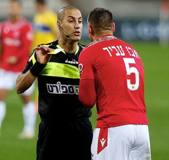 צילום: אלן שיבר