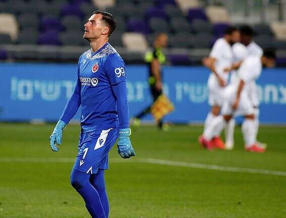 שטקוס // צילום: אלן שיבר