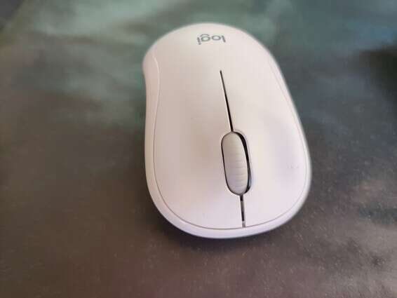 צילום: אהוד קינן