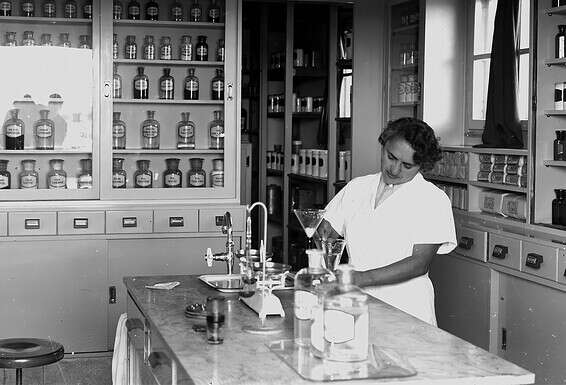 צילום: דניאל קפלן