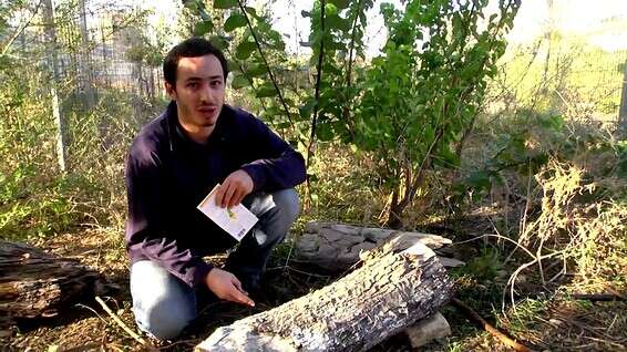 עומר דראל, מאסטר ספלינטר של ירושלים // צילום: יוני ריקנר