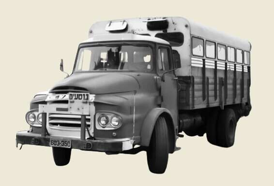 צילום: גדעון רוסק