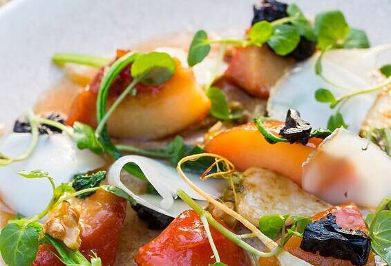 שילוב טעמים מעולה. סלט חבושים, לפתות וגבינת עיזים // צילום: איתיאל ציון