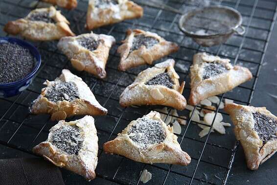 הפרג עושה קאמבק // צילום: לירון אלמוג