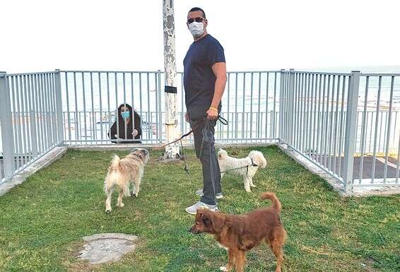 דודי מועלם עם הכלבים בבית בבת ים