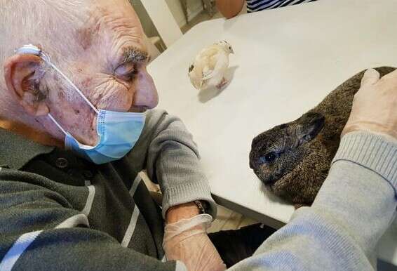 מפגש דיירים־בעלי חיים בבית בלב בירושלים