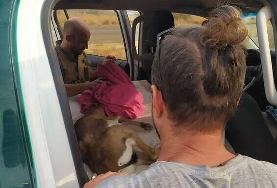 הפינוי // צילום: באדיבות המשפחה