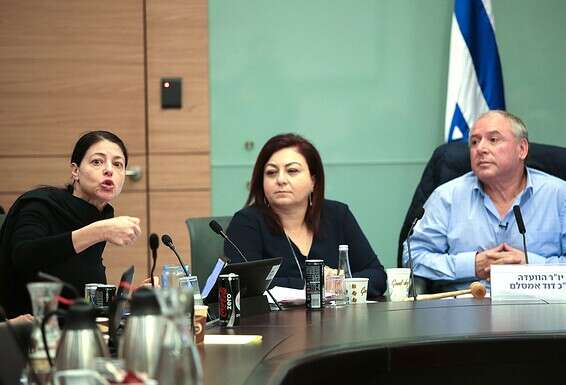 "אני במקום הרביעי בכנסת בחקיקה, וזה עוד מהאופוזיציה". מיכאלי בדיון בוועדת הפנים של הכנסת, 2017 // צילום: אורן בן חקון