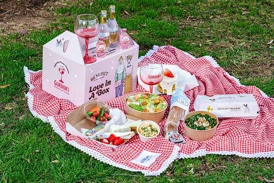 הפיקניק של בנדיקט וגורדונס פינק // צילום: שרית גופן