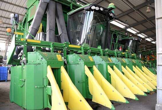 קטפות במנפטת העמק // צילום: יוסי זליגר