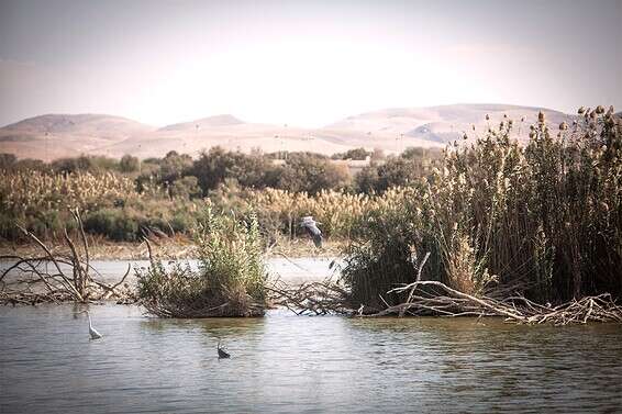 אגם ירוחם // צילום: אור אלכסנברג