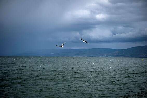 הכנרת ביום סוער // צילום: גיל אליהו - ג'יני