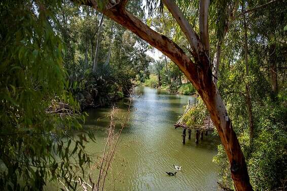 שמורות הטבע ייפתחו // צילום: גיל אליהו/ג'יני