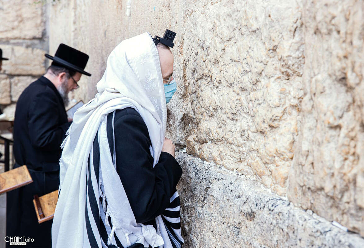 צילום: חיים טוויטו // מתפללים בכותל המערבי // צילום: חיים טוויטו ,