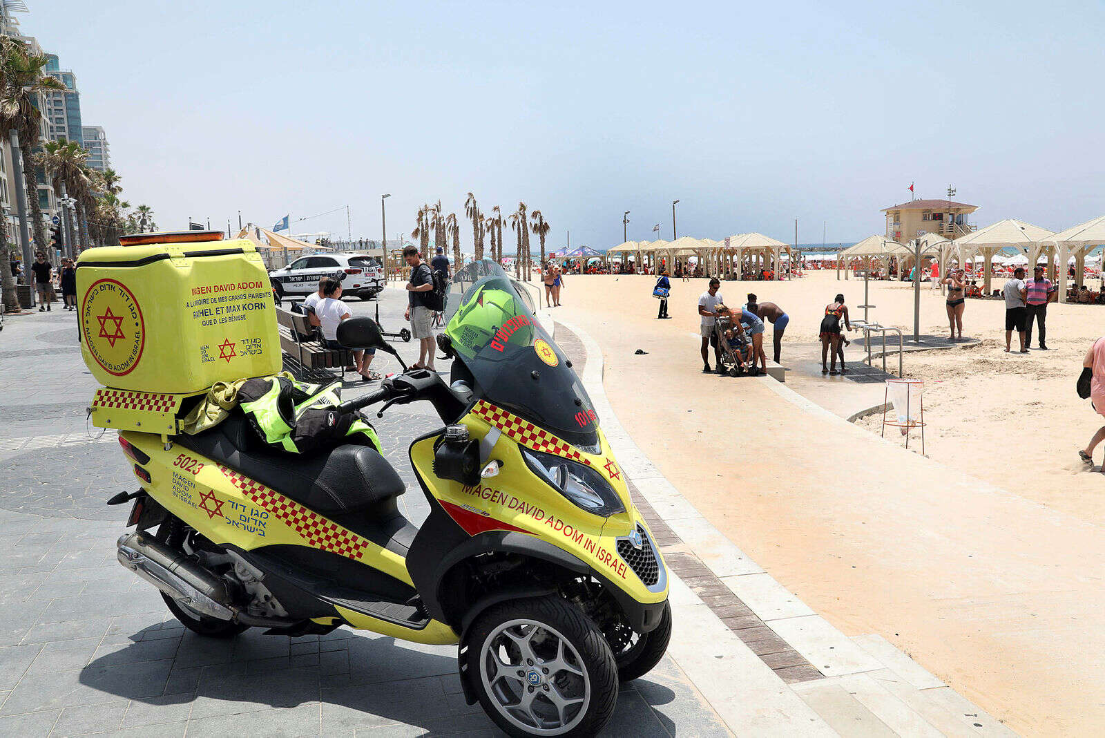צילום: גדעון מרקוביץ' // דבר בן 30 טבע למוות ,