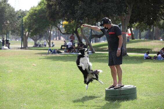 בהמשך השבוע: הקלה בעומס החום