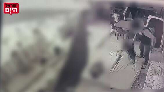 תיעוד מתוך מצלמות האבטחה בגן // צילום מסך